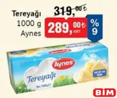 AYNES TEREYAĞI 1 KG fiyat ve kampanya bilgisi